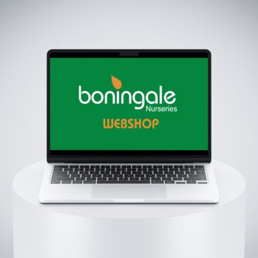 Boningale-Webshop